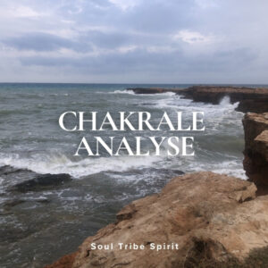 Chakrale Analyse (ca. 20 Seiten)