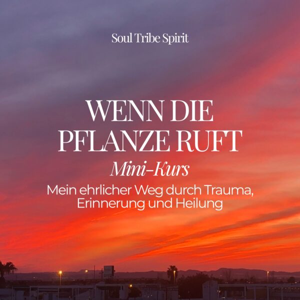 Julia Herold Soul Tribe Spirit Pflanzenmedizin Trauma Erfahrungsbericht